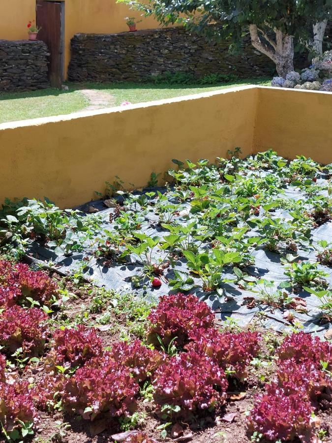 Casas De Maragouzos Villa Silleda Luaran gambar
